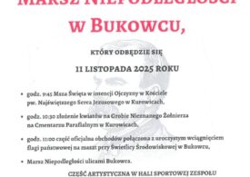 PLAN OBCHODÓW 11 LISTOPADA - NARODOWEGO ŚWIĘTA NIEPODLEGŁOŚCI - W GMINIE BRÓJCE