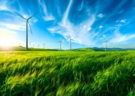 DOTACJE NA PRZYŁĄCZA KANALIZACYJNE Z WFOŚiGW