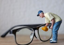 OFERTA PRACY! do OBSŁUGI PORZĄDKOWEJ placów zabaw, pielęgnacji terenów zielonych, wyznaczonych terenów gminnych oraz przystanków autobusowych i poboczy dróg